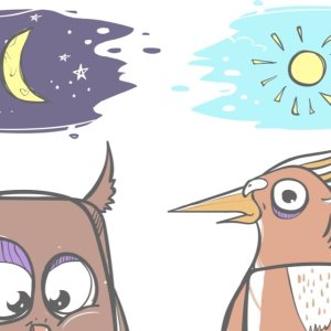 Kapitelbild: Die Eulen-Lerche / Chronotypen