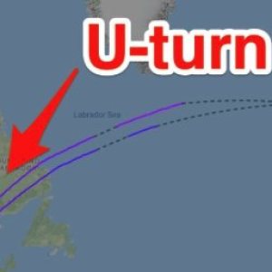 Kapitelbild: CARGO THEMA, KLM fliegt zurück: