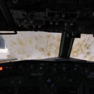Kapitelbild: Heuschrecken Plagen eine B737