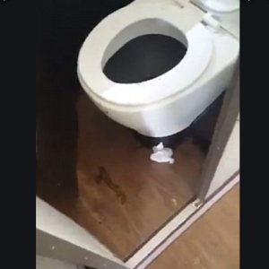 Kapitelbild: Gerueche aus der Kabine.