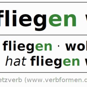 Kapitelbild: Warum zur fliegen lernen wollen