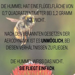 Kapitelbild: Olli Aerodynamik Thema / Frage Max