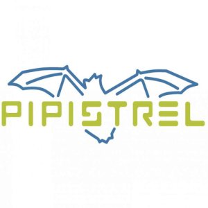 Kapitelbild: Herkunft des Namen Pipistrel