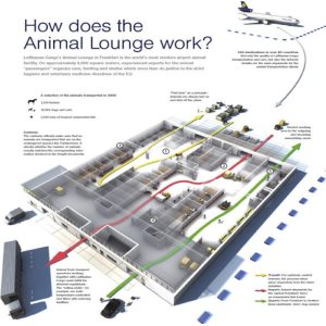Kapitelbild: Animallounge Anruf aus Saarbrücken