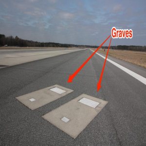Kapitelbild: Feedback Die Gräber von Savannah Airport