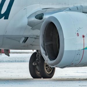 Kapitelbild: B737 vs. Bär in Alaska
