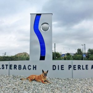 Kapitelbild: Olli in Kelsterbach