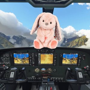 Kapitelbild: Stofftier sag mal dem Copiloten....