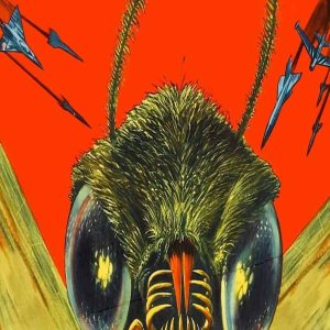Kapitelbild: Mothballed Flights