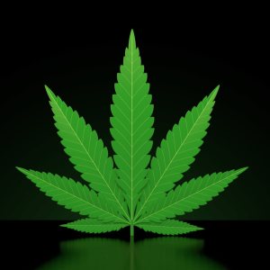 Kapitelbild: A Friendly Reminder: Cannabis still a Federal offense