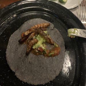 Kapitelbild: Das Tequila Raupen Problem