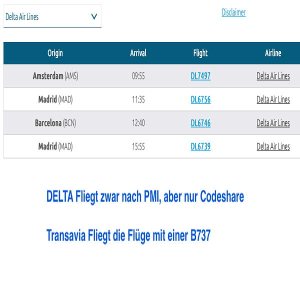 Kapitelbild: Delta Airlines Fliegt nach Palma de Mallorca