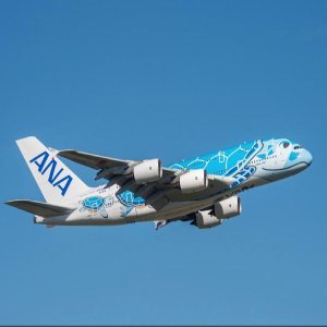 Kapitelbild: ANA fliegt A320 & A380 gemeinsam