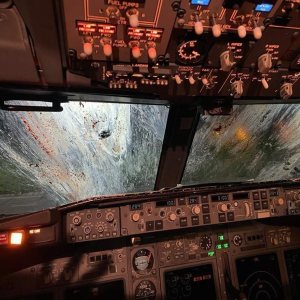 Kapitelbild: Cockpit Birdstrike