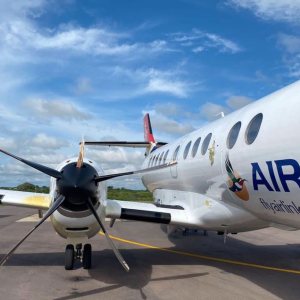 Kapitelbild: Birdstrike: SA Airlink Jetstream JS-41, reg ZS-NRJ