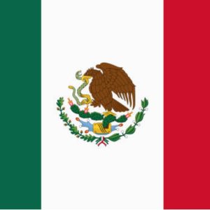 Kapitelbild: Steffens Flug nach MEX