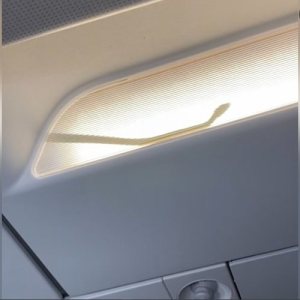 Kapitelbild: Snakes on a Plane