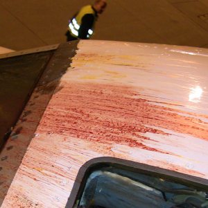 Kapitelbild: Birdstrike