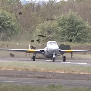 Folge 103: Vampire Rips up runway at Halfpenny Green