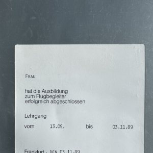 Folge 107: Flugbegleiter Urkunde