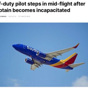 Folge 109: pilot steps in after captain becomes incapacitated