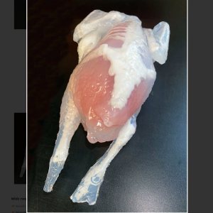 Folge 116: Gel-Vögel
