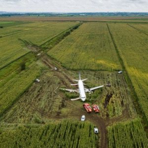 Folge 118: The Miracle of the cornfield