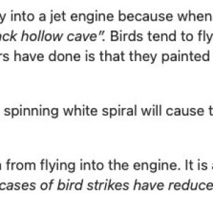 Folge 126: Bird Strike Prevention.
