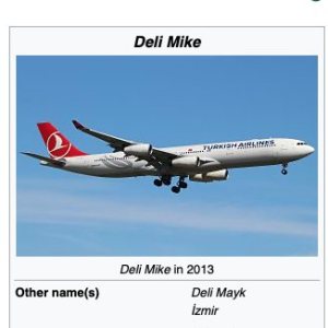 Folge 150: A340 with strange technical failures