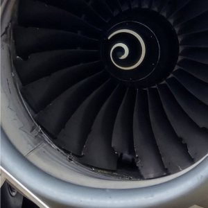Folge 150: Birdstrike in Mombasa