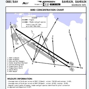 Folge 166: BAH BIRD CONCENTRATION CHART