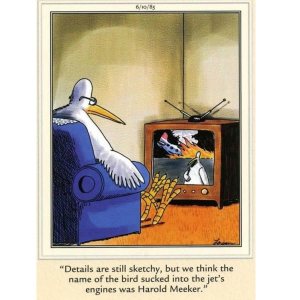 Folge 177: Alter Witz von Gary Larson