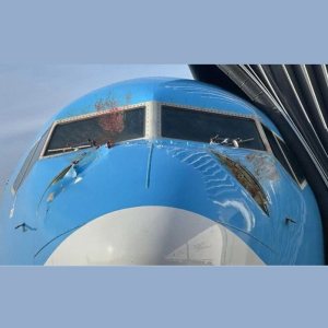 Folge 179: Double Bird Strike