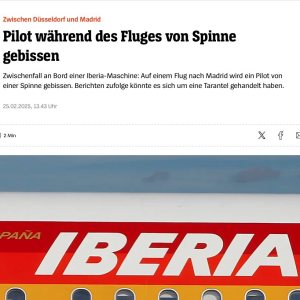 Folge 181: Spiders on a Plane