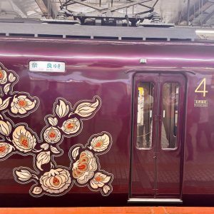 Folge 190: Sightseeing Limited Express Aoniyoshi