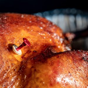 Folge 201: Thanksgiving Geschichtenn
