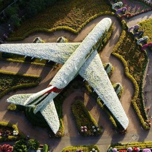 Folge 213: A380 ~ 1:1 in Blumen