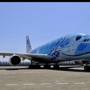 Folge 225: Seaturtle A380 Lani