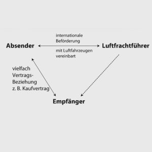 Folge 229: Luftfrachtführer