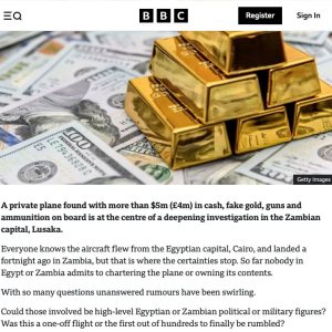 Kapitelbild: BBC Bericht zu dem Fall